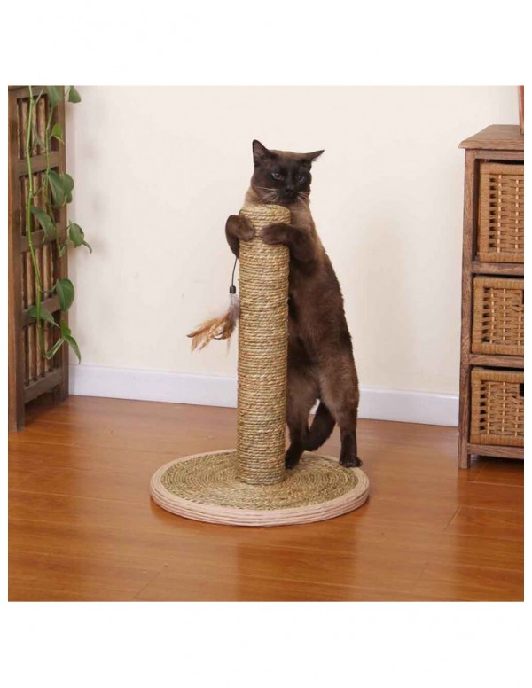 Cofield Seagrass Scratching Post