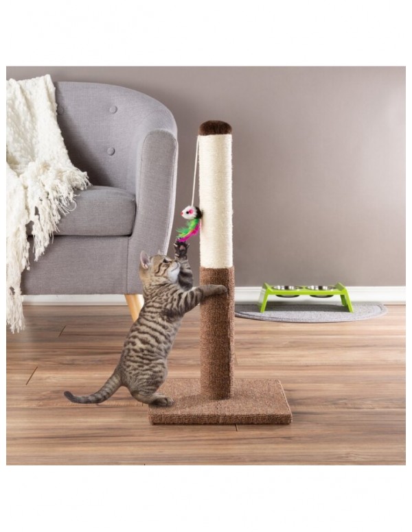 Scratching Post