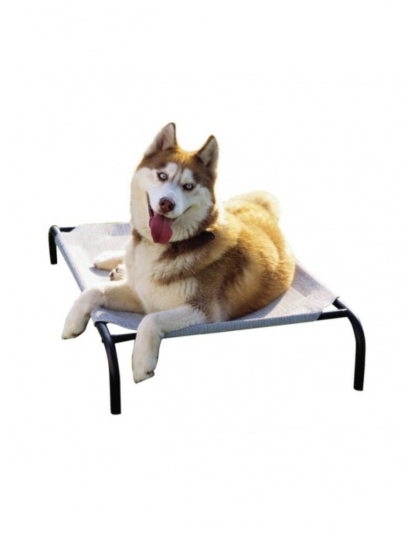 Elevated Indoor/Outdoor Pet Cot